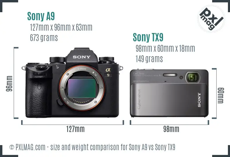 Sony A9 vs Sony TX9 size comparison