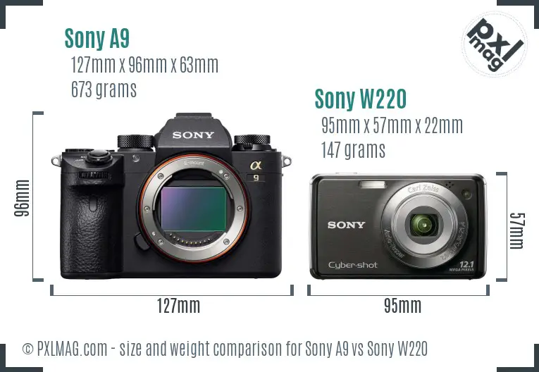 Sony A9 vs Sony W220 size comparison