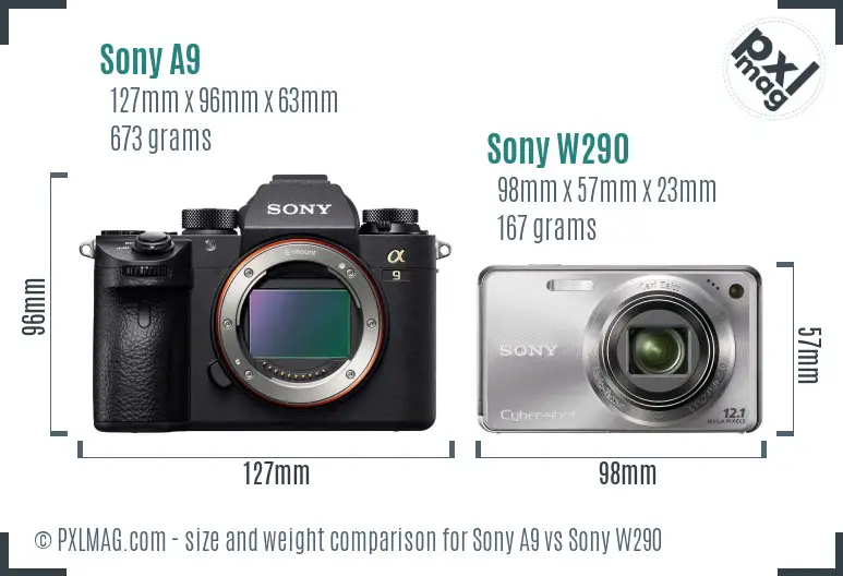 Sony A9 vs Sony W290 size comparison