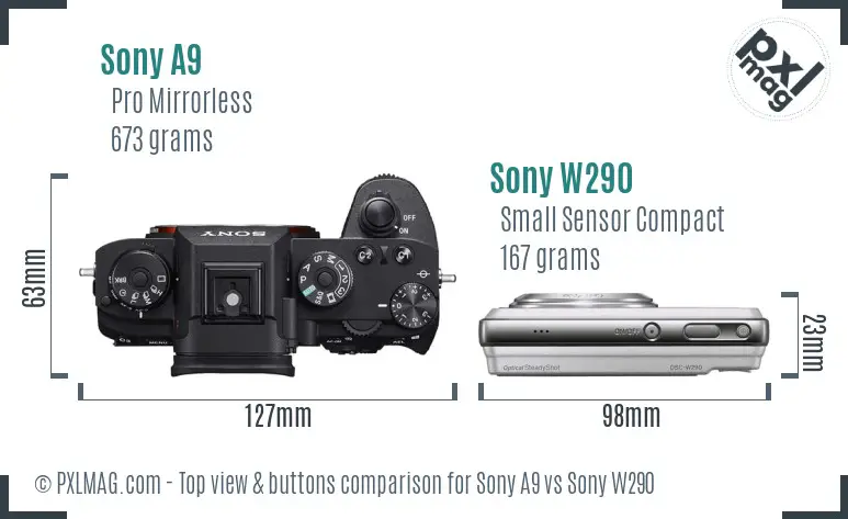 Sony A9 vs Sony W290 top view buttons comparison