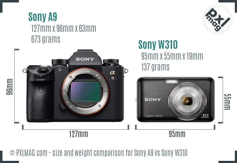 Sony A9 vs Sony W310 size comparison
