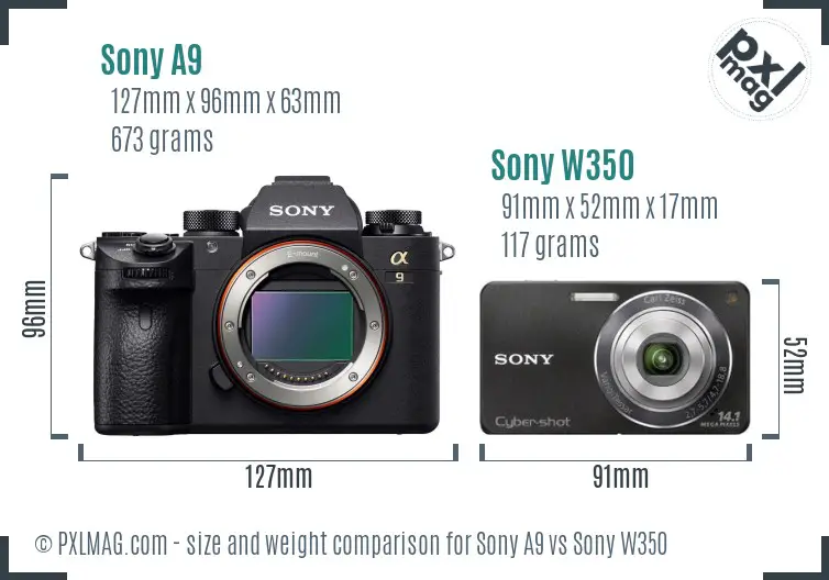 Sony A9 vs Sony W350 size comparison