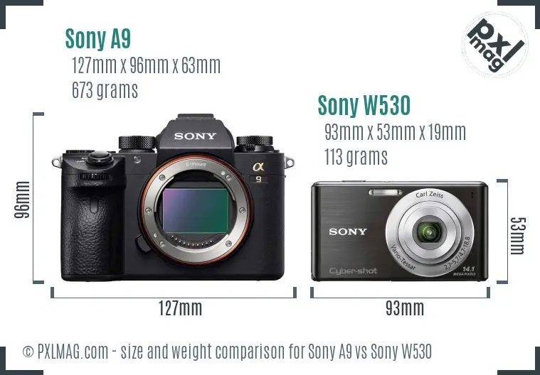 Sony A9 vs Sony W530 size comparison