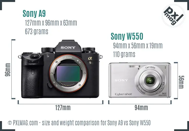 Sony A9 vs Sony W550 size comparison