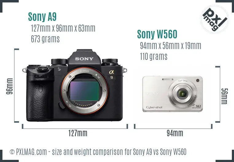 Sony A9 vs Sony W560 size comparison