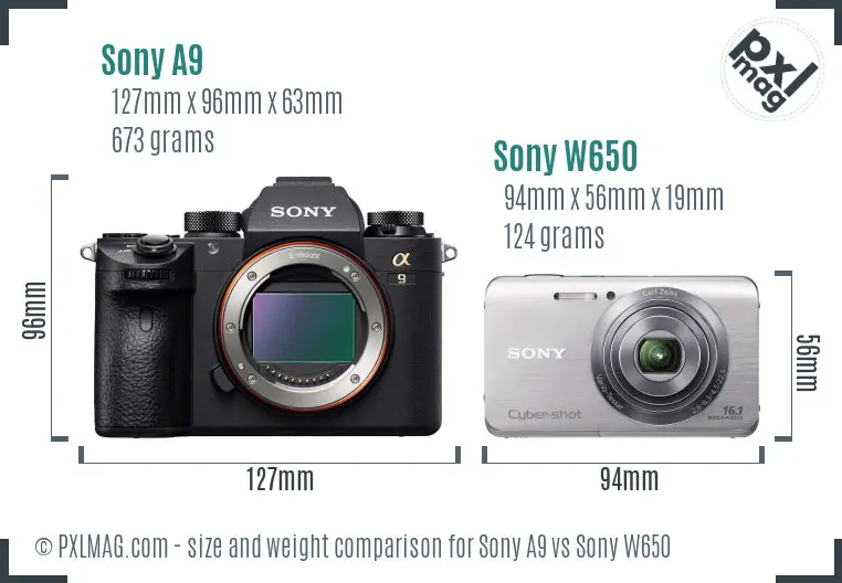 Sony A9 vs Sony W650 size comparison