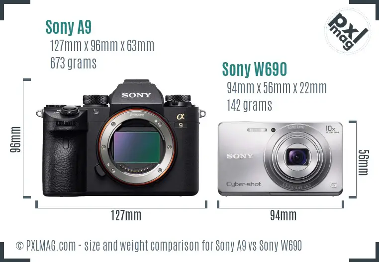 Sony A9 vs Sony W690 size comparison