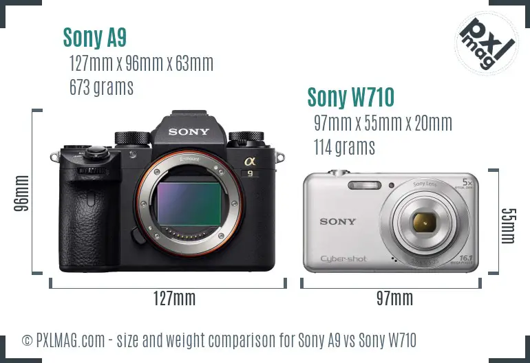 Sony A9 vs Sony W710 size comparison