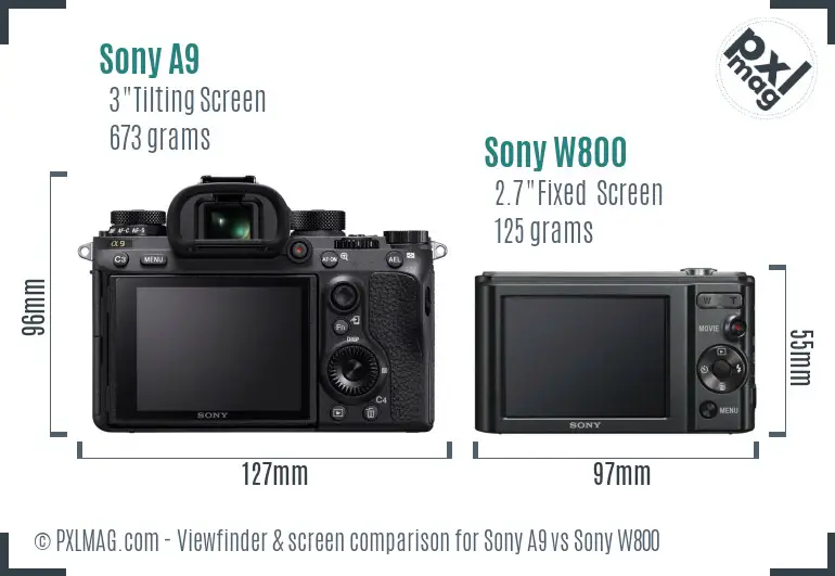 Sony A9 vs Sony W800 Screen and Viewfinder comparison