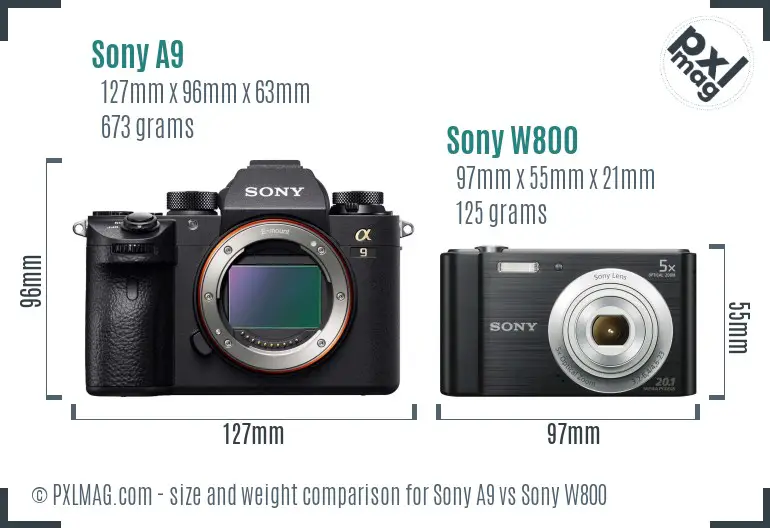 Sony A9 vs Sony W800 size comparison