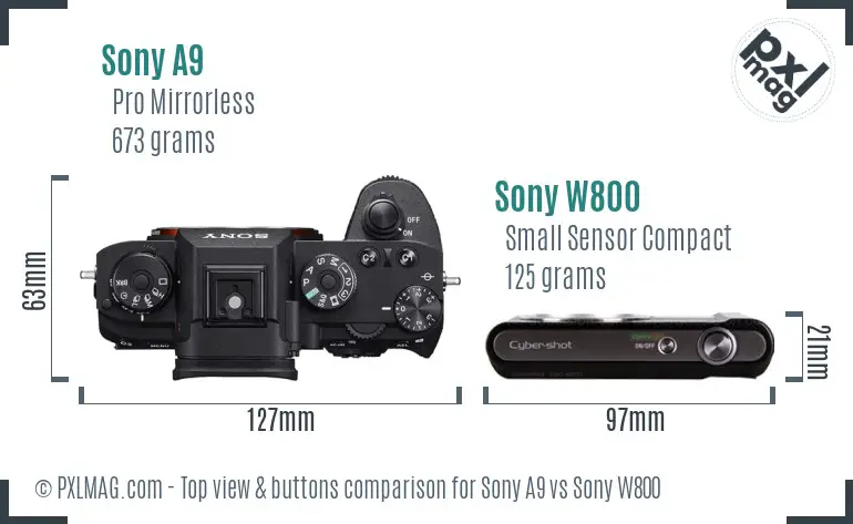 Sony A9 vs Sony W800 top view buttons comparison