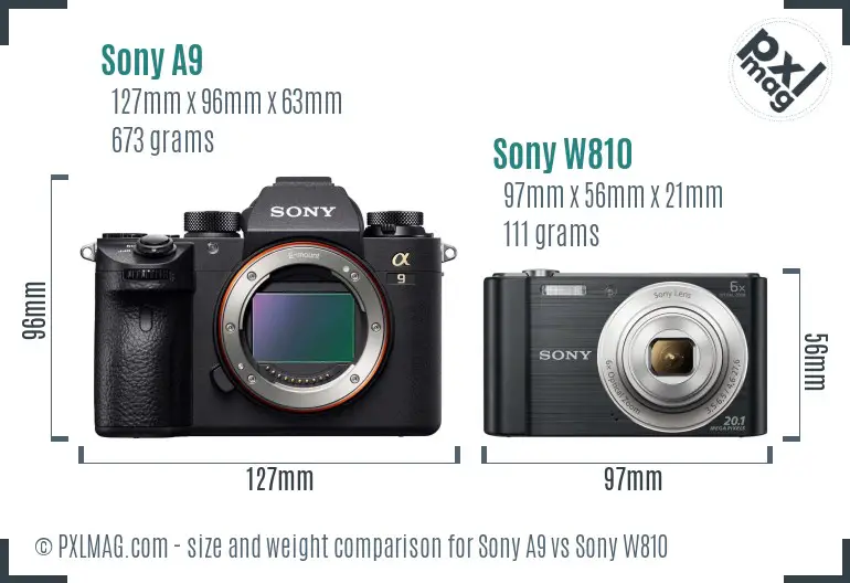 Sony A9 vs Sony W810 size comparison