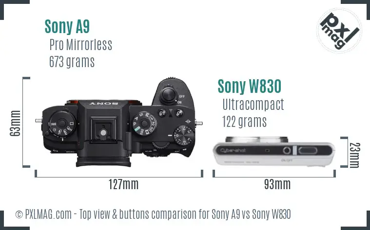 Sony A9 vs Sony W830 top view buttons comparison