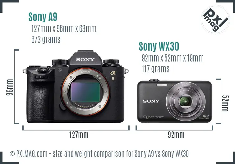 Sony A9 vs Sony WX30 size comparison