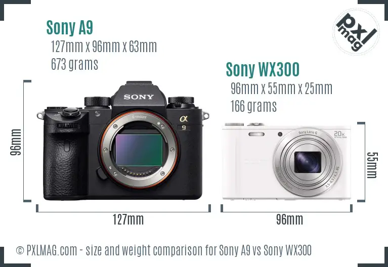 Sony A9 vs Sony WX300 size comparison
