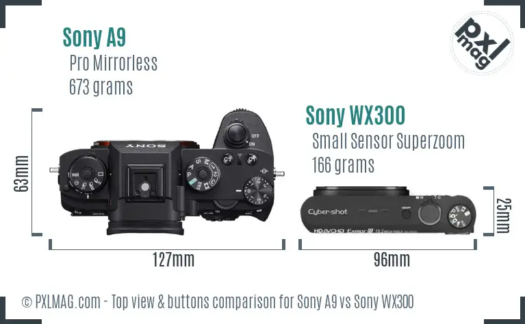 Sony A9 vs Sony WX300 top view buttons comparison