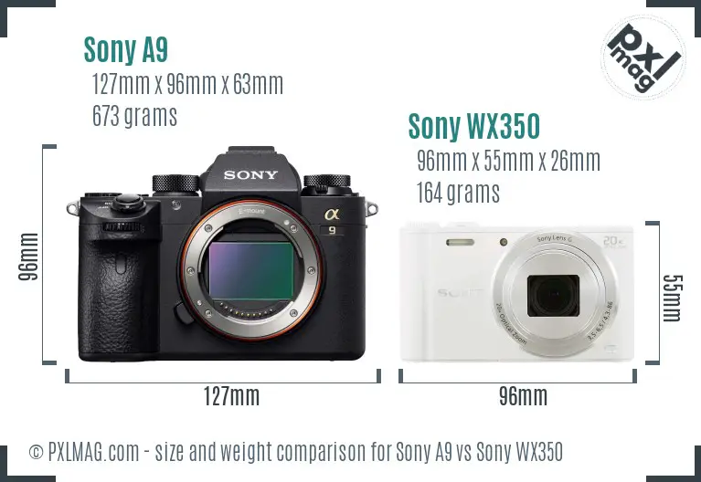 Sony A9 vs Sony WX350 size comparison