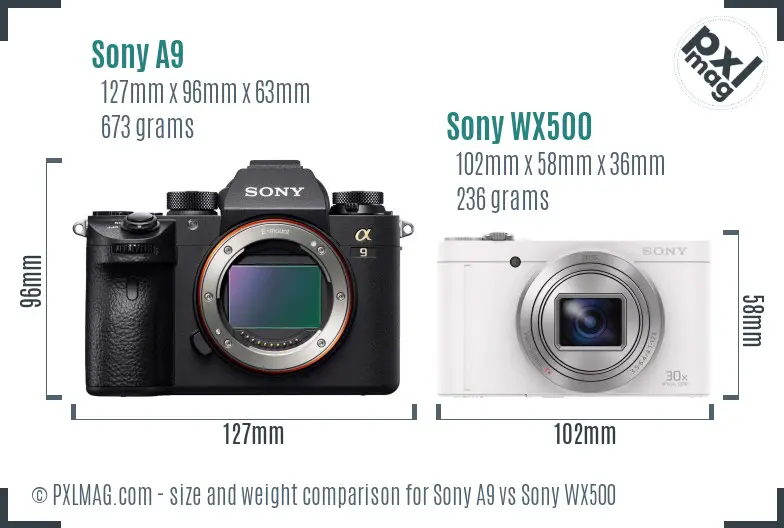 Sony A9 vs Sony WX500 size comparison