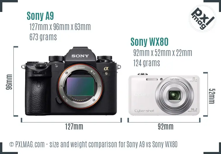 Sony A9 vs Sony WX80 size comparison