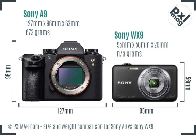 Sony A9 vs Sony WX9 size comparison