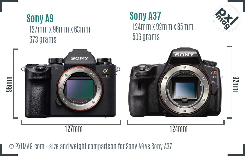 Sony A9 vs Sony A37 size comparison