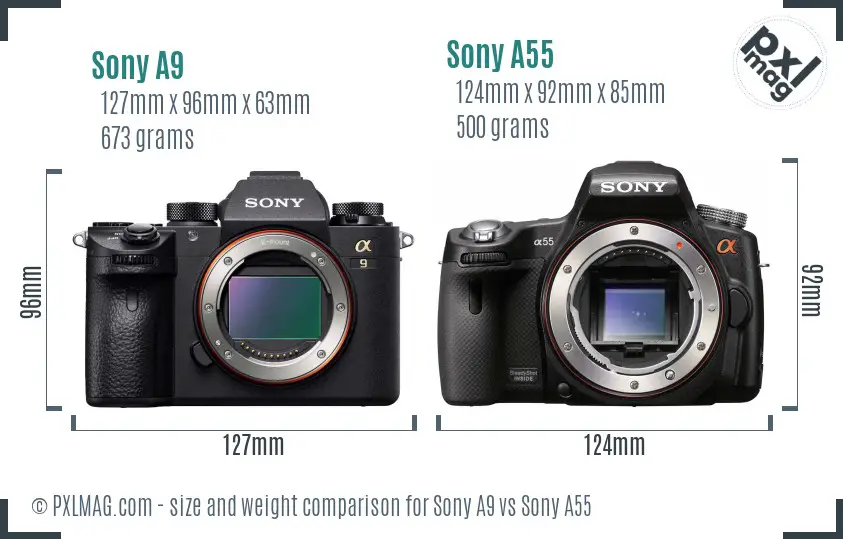 Sony A9 vs Sony A55 size comparison