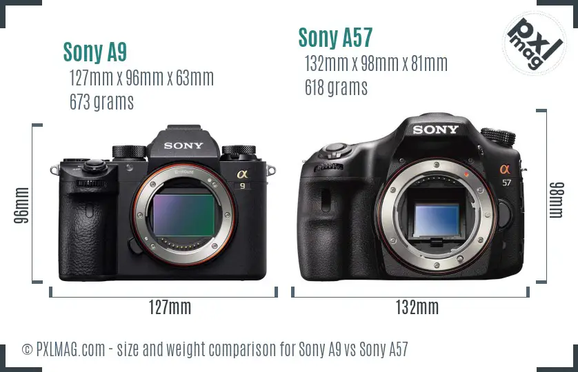 Sony A9 vs Sony A57 size comparison