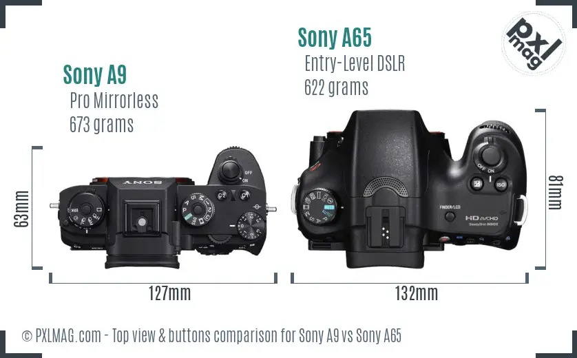 Sony A9 vs Sony A65 top view buttons comparison