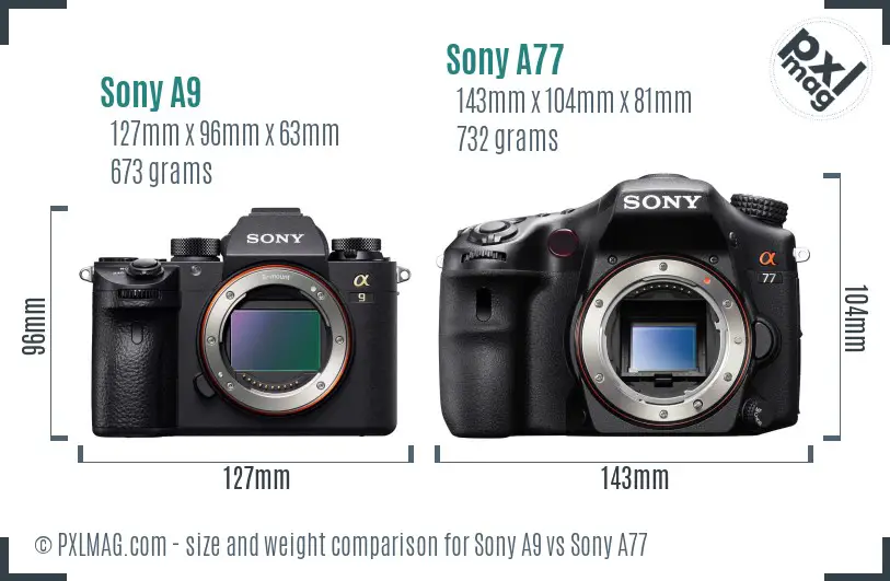 Sony A9 vs Sony A77 size comparison