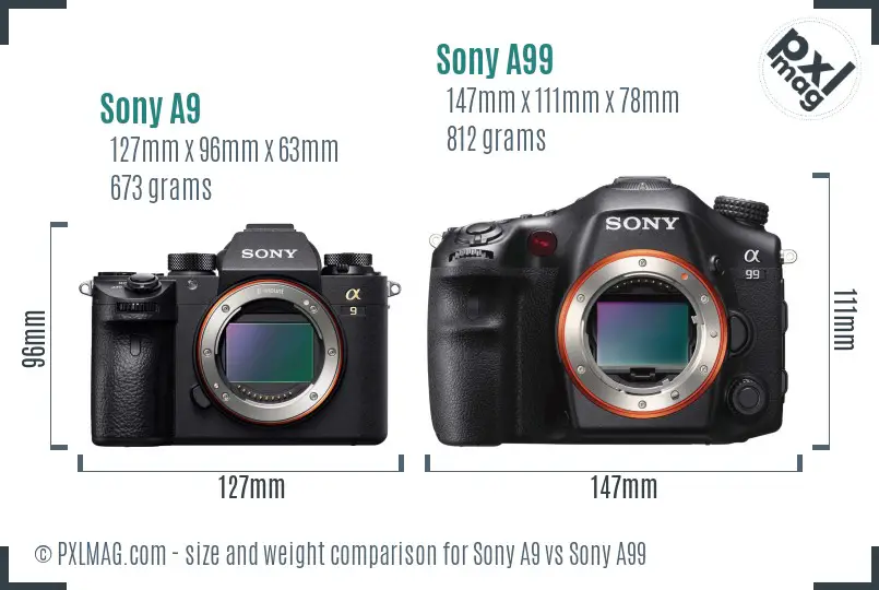 Sony A9 vs Sony A99 size comparison