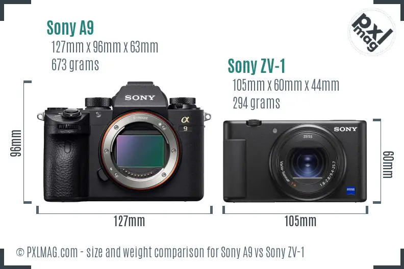 Sony A9 vs Sony ZV-1 size comparison