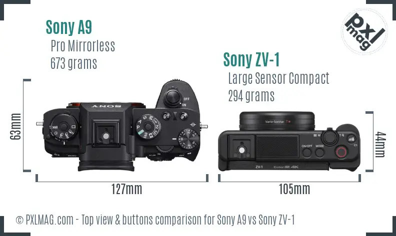 Sony A9 vs Sony ZV-1 top view buttons comparison