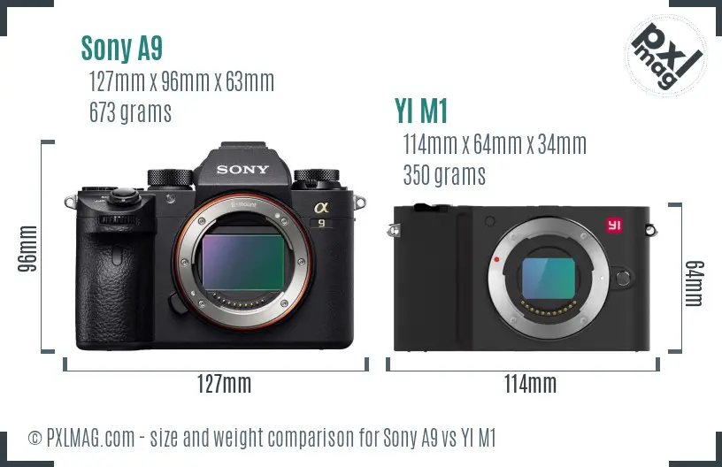 Sony A9 vs YI M1 size comparison