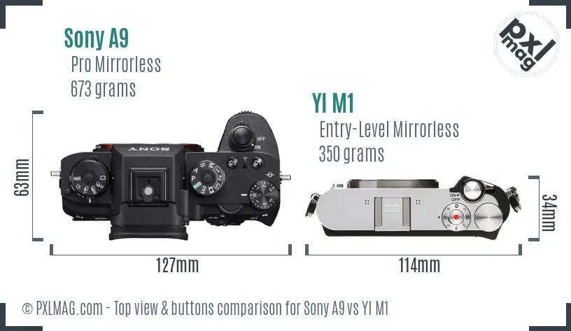 Sony A9 vs YI M1 top view buttons comparison