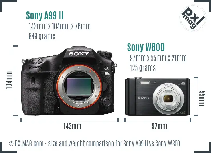 Sony A99 II vs Sony W800 size comparison