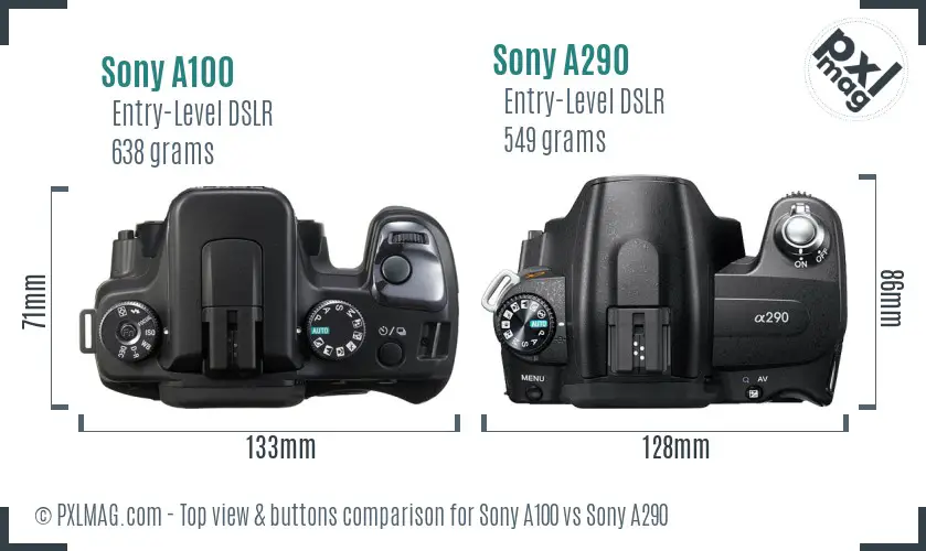 Sony A100 vs Sony A290 top view buttons comparison