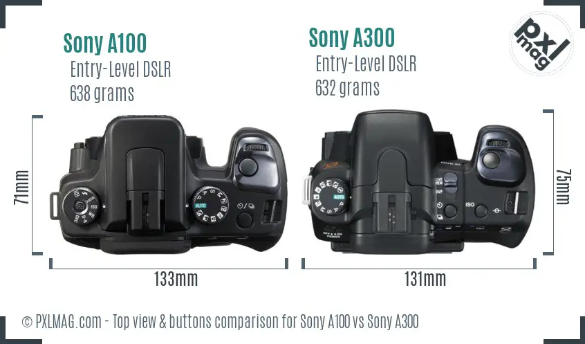 Sony A100 vs Sony A300 top view buttons comparison