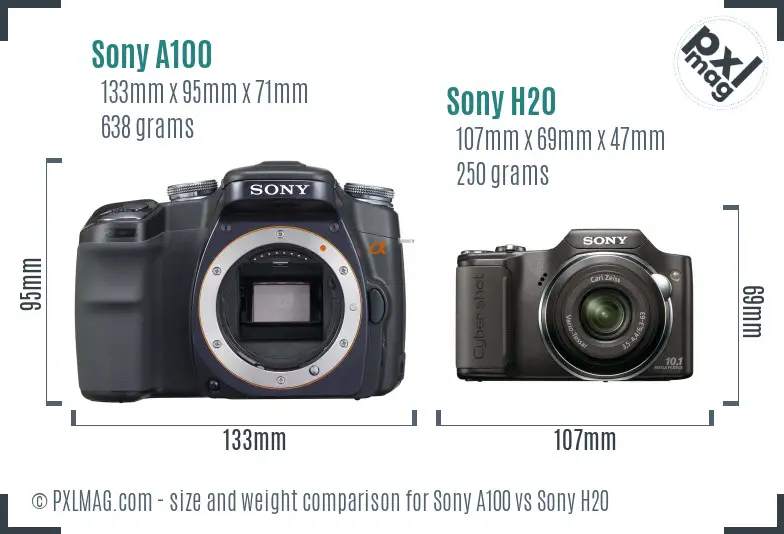 Sony A100 vs Sony H20 size comparison