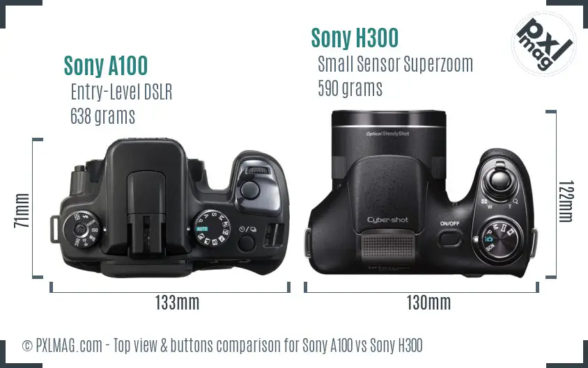 Sony A100 vs Sony H300 top view buttons comparison