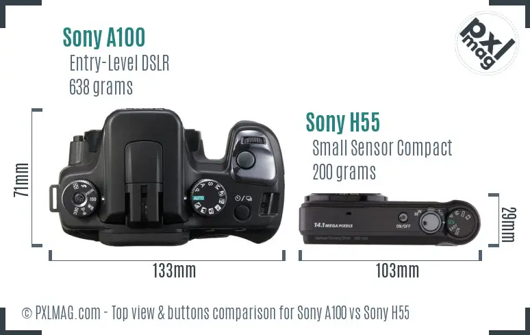 Sony A100 vs Sony H55 top view buttons comparison