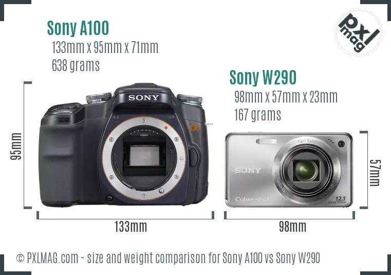 Sony A100 vs Sony W290 size comparison