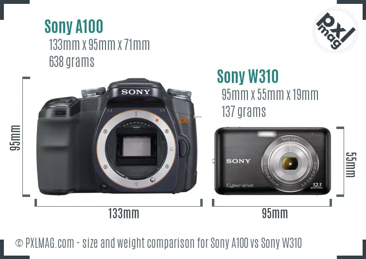 Sony A100 vs Sony W310 size comparison