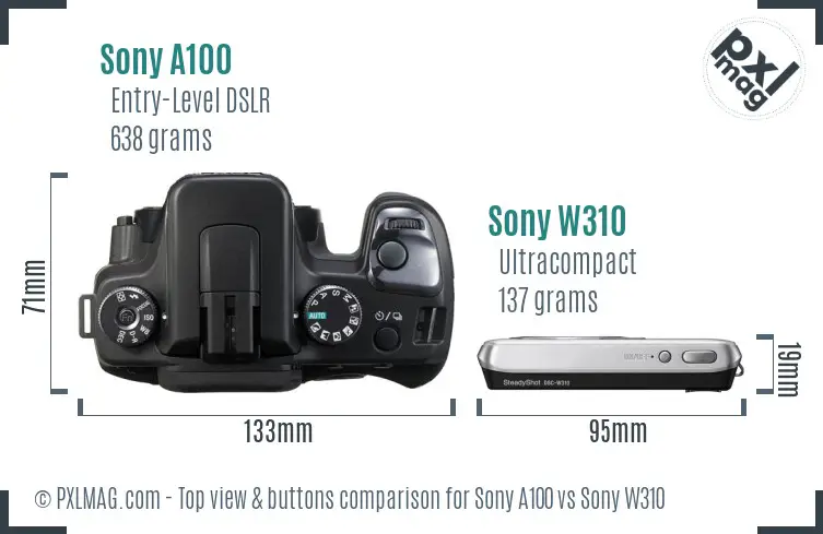 Sony A100 vs Sony W310 top view buttons comparison