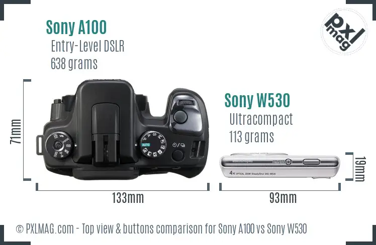 Sony A100 vs Sony W530 top view buttons comparison