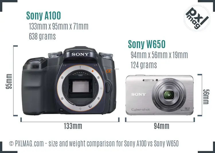 Sony A100 vs Sony W650 size comparison