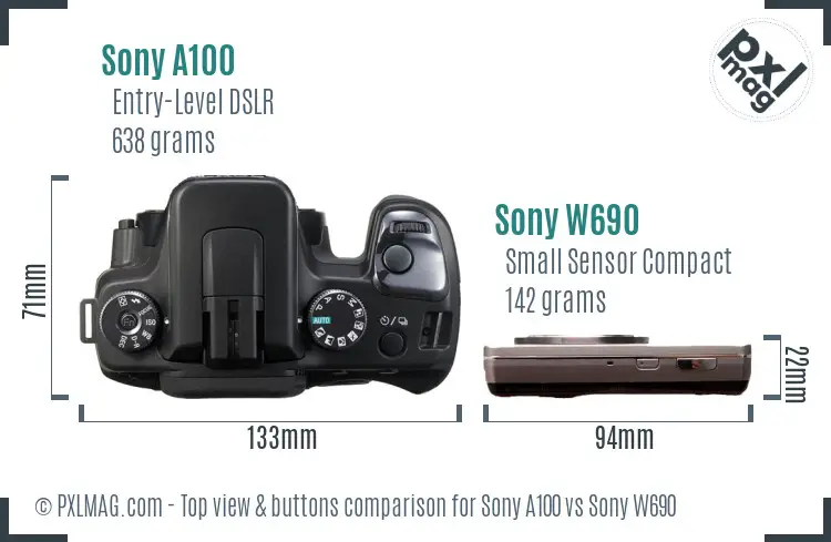 Sony A100 vs Sony W690 top view buttons comparison