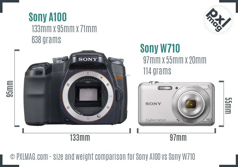 Sony A100 vs Sony W710 size comparison