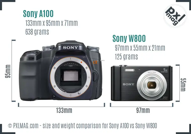 Sony A100 vs Sony W800 size comparison
