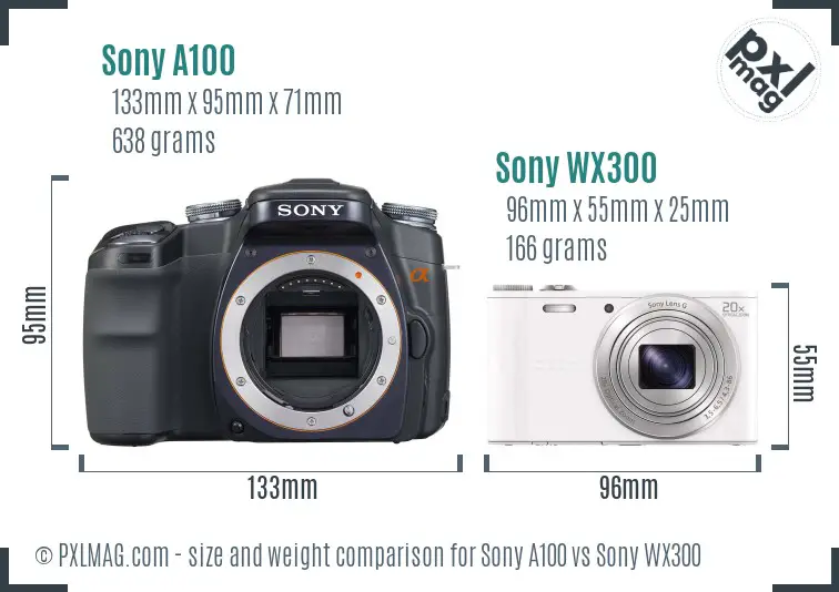 Sony A100 vs Sony WX300 size comparison