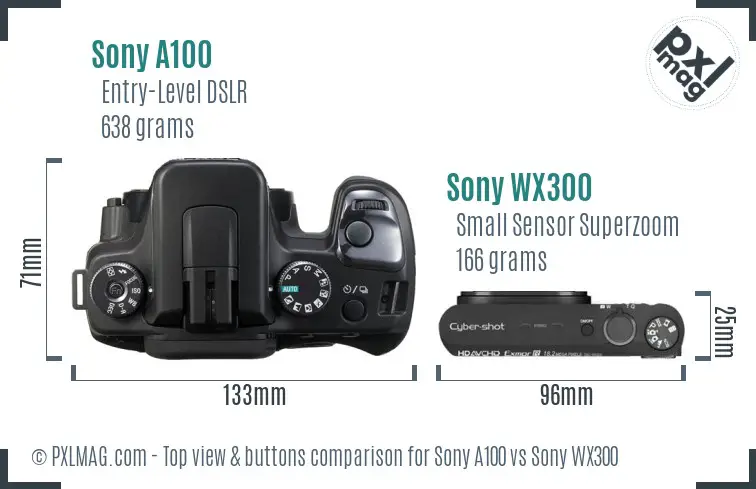 Sony A100 vs Sony WX300 top view buttons comparison